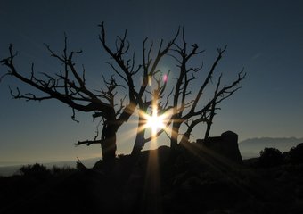 Нас поддержал… бизнес-ангел: как один стартап пересек долину смерти