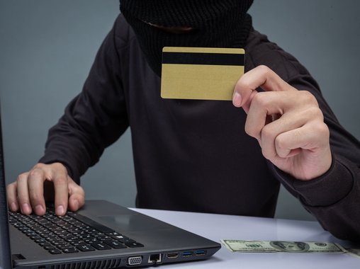 В Санкт-Петербурге выявлена новая схема мошенничества против самозанятых