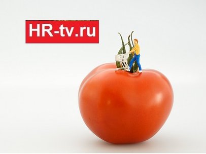 Итоги киберпонедельника: от неплохих продаж до бойкота и недоумения