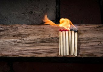 Новое в бизнесе: глобальные тренды в 2017-м