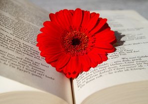 Будущее за удаленными офисами