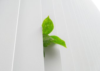 Управление корпоративной социальной ответственностью