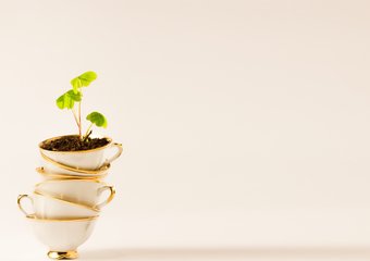 4 принципа успешного бизнеса