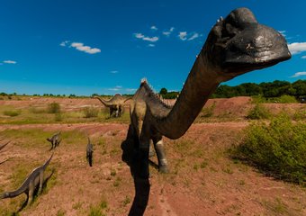 Устойчивый рост компании: основные условия