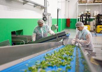 В Роструде рассказали, какие специалисты требуются в АПК