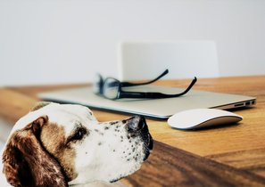 8 признаков специалиста, который будет плохим наставником