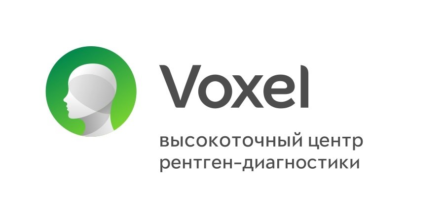 Voxel