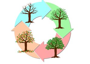 Как без негатива и резких движений ввести изменения