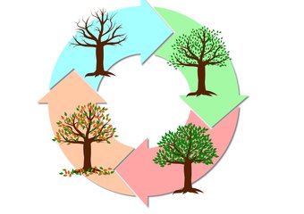 Как без негатива и резких движений ввести изменения