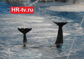 Оценка персонала: вместо штрафа – аквапарк