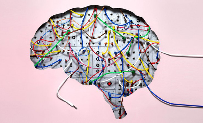 новости науки, мозг, человечество
