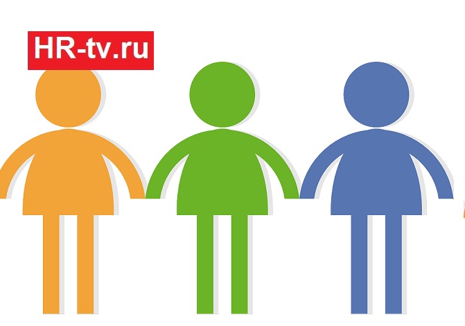 сотрудники