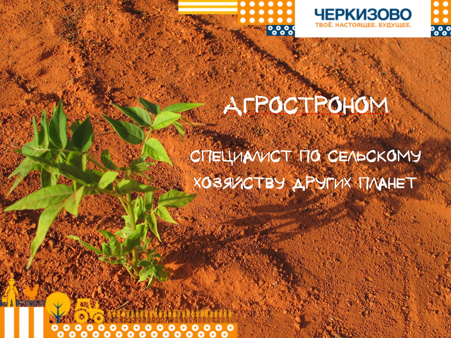 молодежное интернет-сообщество, Черкизово, Маргарита Трусилова, Молодежное сообщество «Твое. Настоящее. Будущее», ВКонтакте, как развивать сообщество вконтакте, вк, сообщество вконтакте, черкизово как работать, сельское хозяйство, молодежь в сельском хозяйстве, Группа Черкизово, свиноводство, комбикормы, где учиться на агронома