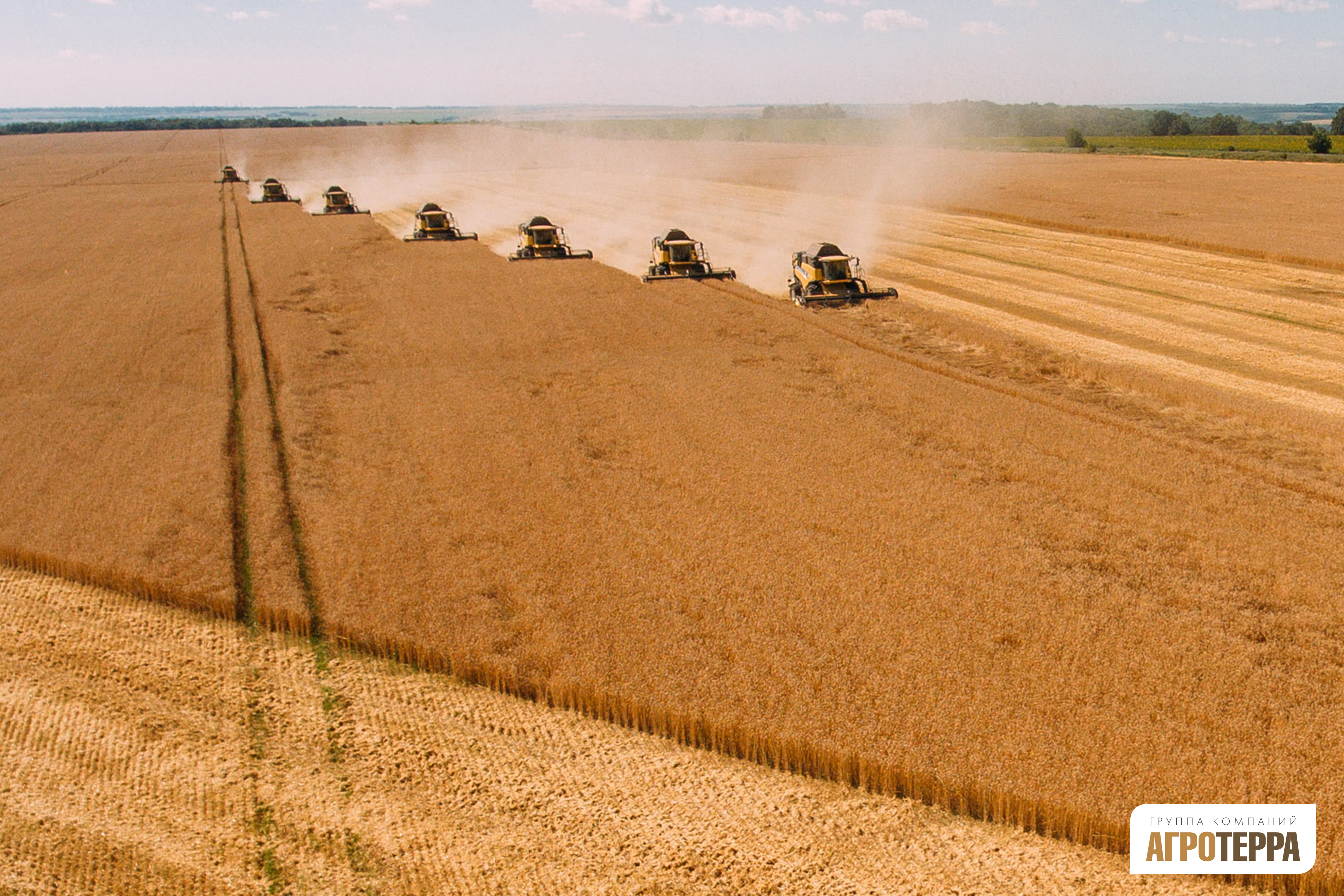 Агротерра, Action, Виктория Рындина, комбайны, сельское хозяйство, агромен, агроскауты, Шаг вперед. Штабные учения, WOW!HR, кем работать в агро, кем работать на селе, кем работать в деревне, работа в деревне, работа в селе, негородская работа, игры сотрудников, соревнования сотрудников