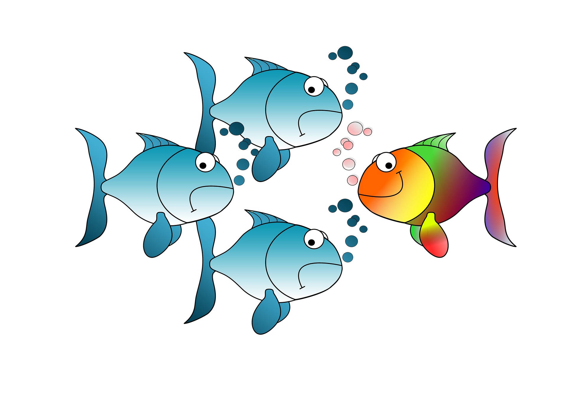 рыбы, как ловить, рыбалка, клюет, альтернативные источники найма, методы рекрутинга, надежда шаумян, инлавка, сайты о работе эффективность, как найти сотрудника, работа в соцсетях, работа в профессиональных сообществах, где искать кандидатов, ключевым источником найма становится метод "приведи друга", поиск кандидатов в социальных сетях, поиск кандидатов  в сообществах, twitter, facebook, linkedln, vkontakte