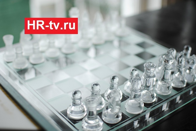 шахматы