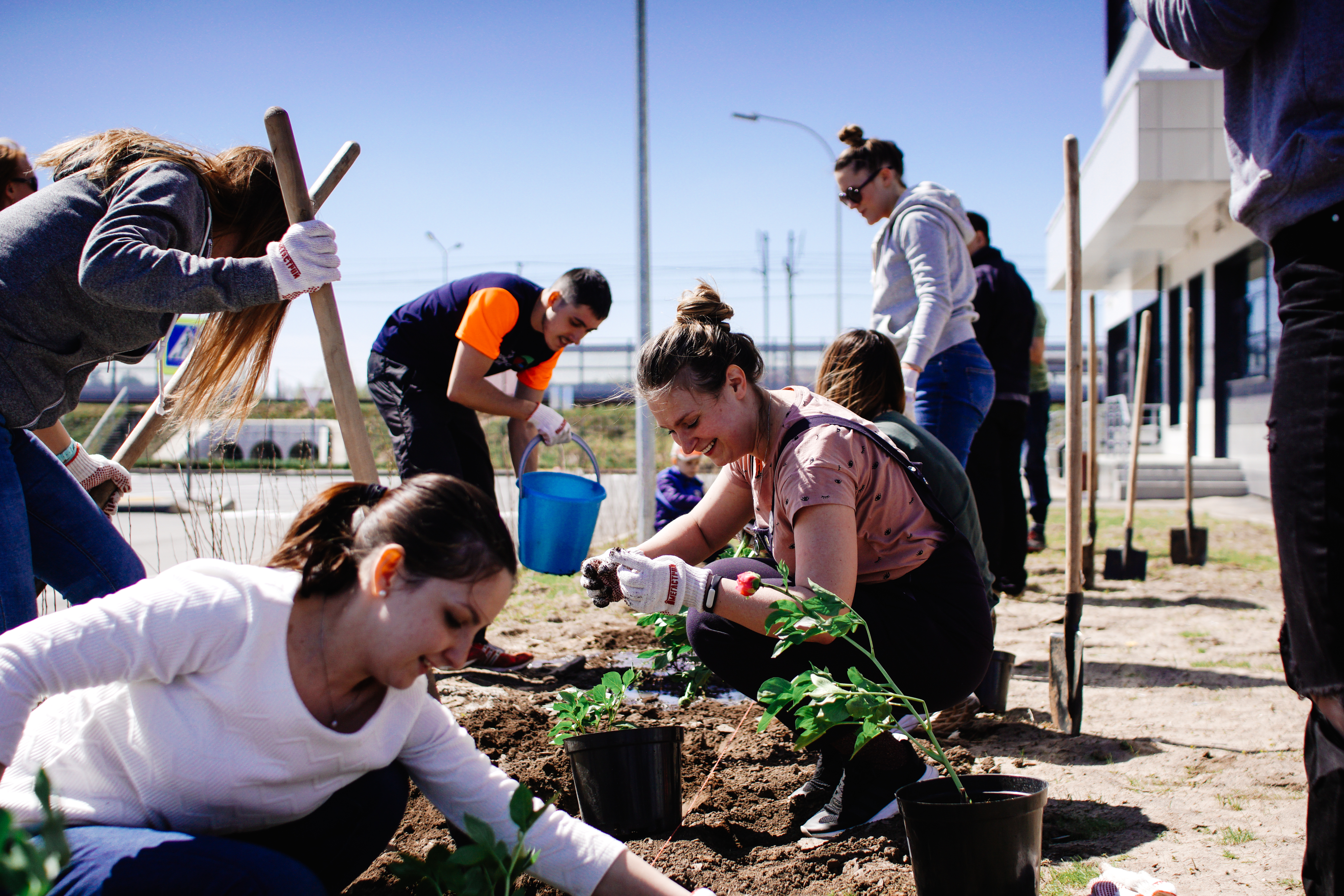 ICL Services, Арина Васильева, Эко-движение в компаниях: тренды и перспективы, обосновании идеи экологической инициативы, международные экологические инициативы, поддержка экологических инициатив, экологические инициативы +в россии