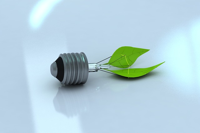 Экологические инициативы: что делает DIY-ритейлер и зачем, Леруа Мерлен, Иванова Екатерина, DIY-сектор, Экологические инициативы, волонтерские движения, бережное отношение к природе, социально-экологическая ответственность