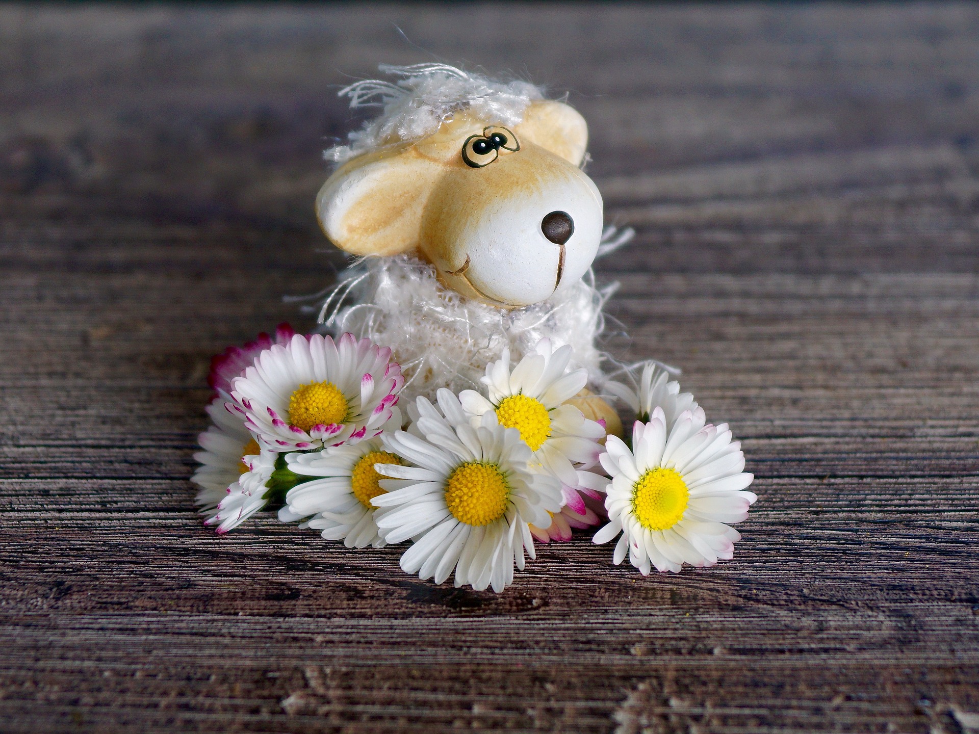 овечка, игрушка, ромашки, цветы, стол, подарок, позитив, атмосфера в коллективе, позитивный настрой, коллектив, команда, настроение, хорошее настроение, как настроить команду, День спасибо, праздник в коллективе, нематериальная мотивация, мотиваторы в коллективе, Юлия Шикарева, ведущий менеджер по персоналу компании КДМ