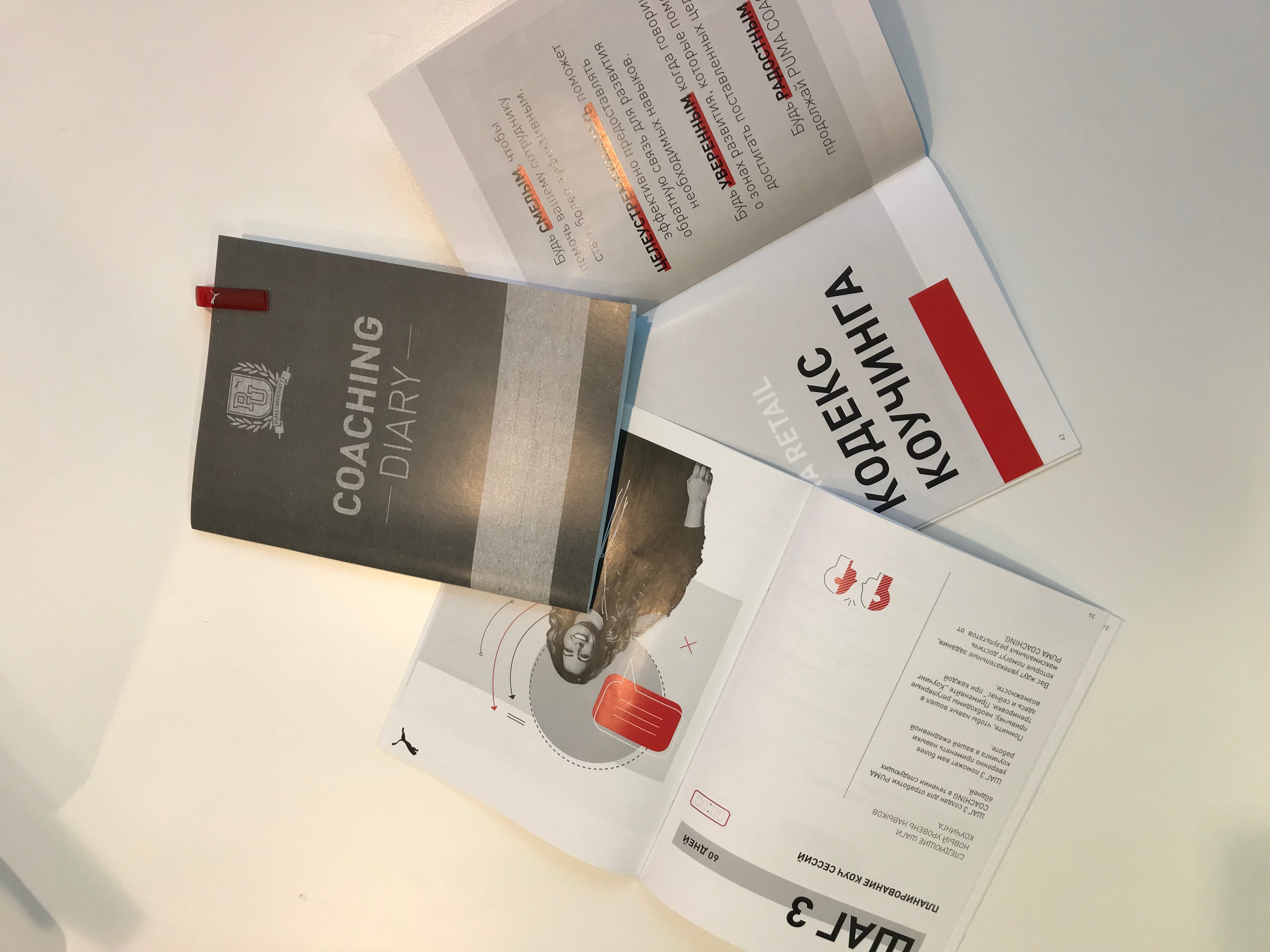 Как в Puma внедряли новый вид демократического лидерства и что из этого вышло, PUMA Россия, Алтышев Ким, Level Up, Level Up 2019, WOW!HR 2019, номинанты WOW!HR 2019, 