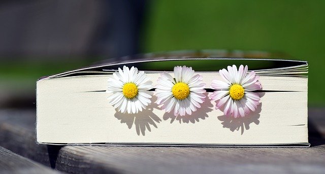 Корпоративная социальная ответственность: думать о себе, заботясь о будущем,  EcoStandard group, Кузубов Вера,  благотворительность, КСО, социально ответственный бизнес, актуальность, корпорации, корпорации, экологическое благополучие, социальное благополучие, социальные проекты, деньги, благотворительный проект