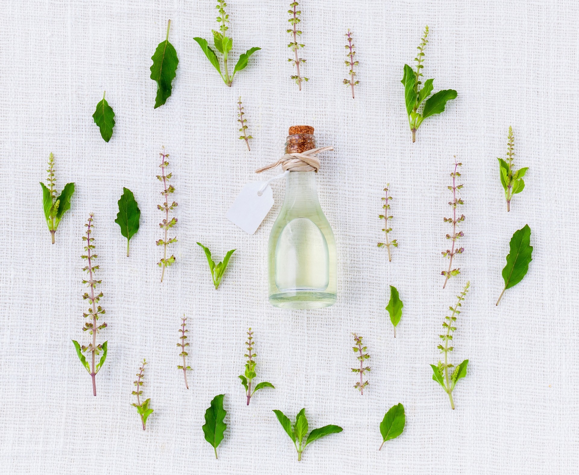 базилик, аромат, дистрибуция косметики, сапожник с сапогами, пользуются ли косметикой производители, мажутся ли кремом создатели кремя, Олег Картамышев, EGOMANIA, косметическая линейка, технолог, шампунь, крем для рук, уход за руками, как везти косметику, бизнес на косметике, продажа косметики