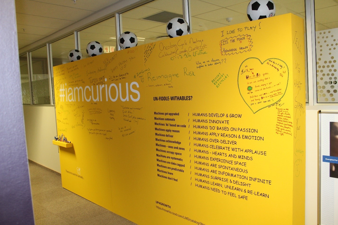 стена новартис