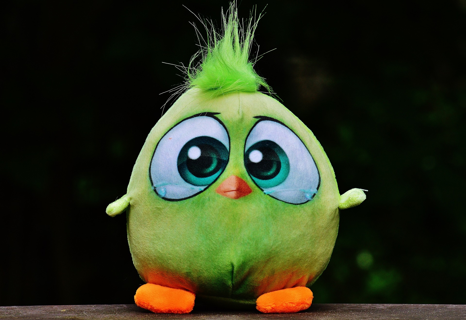 птица, игрушка, птичка, ошибка HR-а, ошибки HR-а, ошибки эйчара, заблуждения лидеров, ошибки начальников, в чем босс не прав, управление, заблуждения молодых лидеров, ошибки руководителей, основные ошибки руководителей, где чаще всего ошибаются руководители, ошибки начальника, как руководителю избежать ошибок, Светлана Петровичева, Кадровый центр "21 век, Ирина Меньщикова, Лиман-трейд