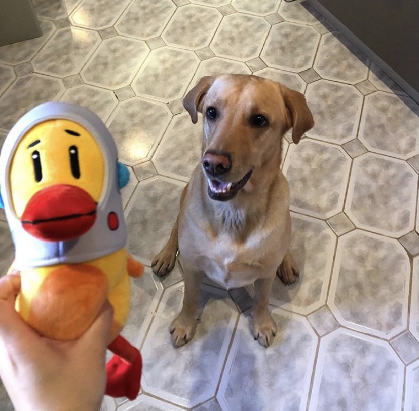 Пирамида потребностей по Dataduck, Dataduck, Анастасия Воронова, WOW!HR, WOW!HR 2021, Номинанты WOW!HR 2021, Save, Save 2021, обеспечить сотрудникам комфорт, обеспечить сотрудникам чувство защищённости, саморазвитие сотрудников, личностный рост сотрудников, повысить уровень лояльности к компании, предотвратить эмоциональное выгорание