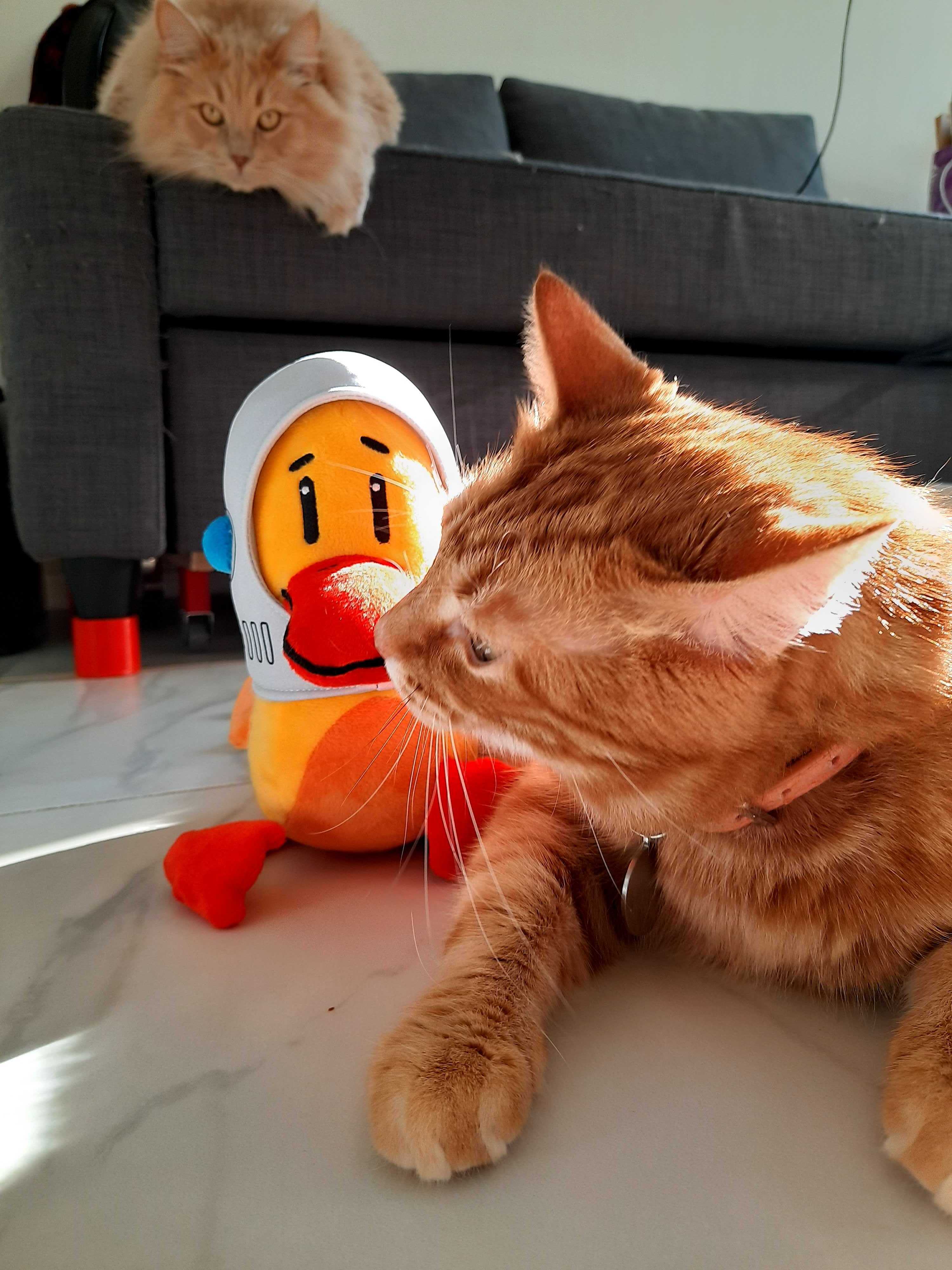 Пирамида потребностей по Dataduck, Dataduck, Анастасия Воронова, WOW!HR, WOW!HR 2021, Номинанты WOW!HR 2021, Save, Save 2021, обеспечить сотрудникам комфорт, обеспечить сотрудникам чувство защищённости, саморазвитие сотрудников, личностный рост сотрудников, повысить уровень лояльности к компании, предотвратить эмоциональное выгорание