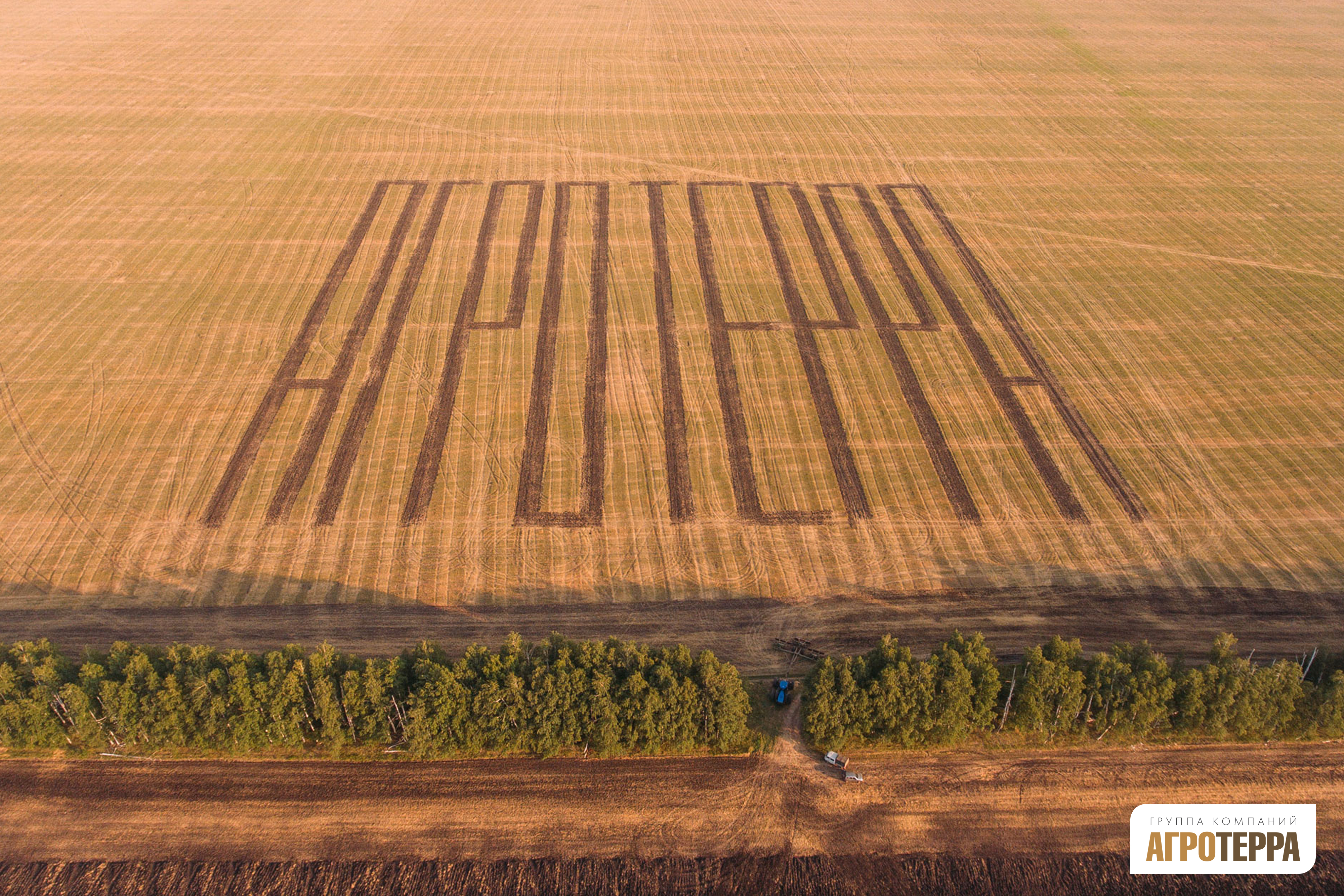 Агротерра, Action, Виктория Рындина, комбайны, сельское хозяйство, агромен, агроскауты, Шаг вперед. Штабные учения, WOW!HR, кем работать в агро, кем работать на селе, кем работать в деревне, работа в деревне, работа в селе, негородская работа, игры сотрудников, соревнования сотрудников