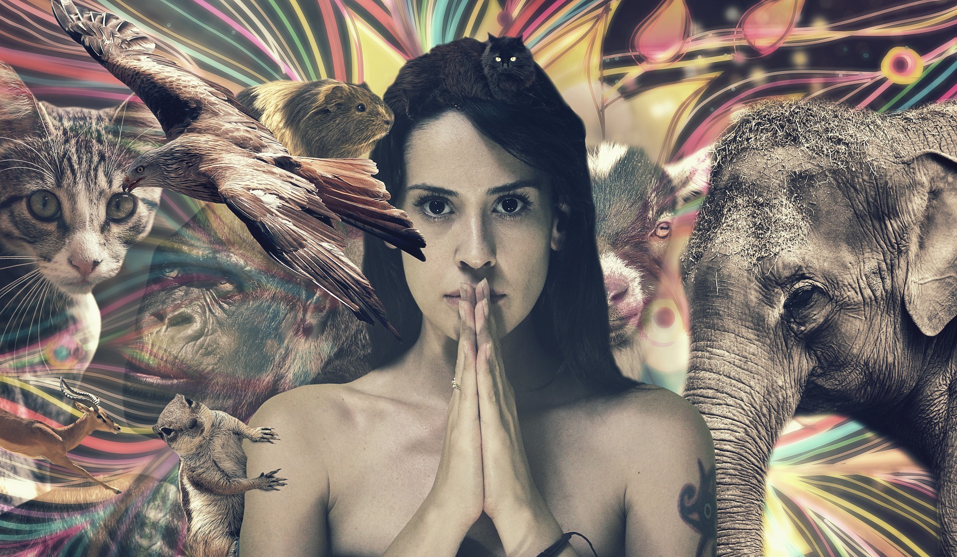девушка, животные, магия, слон, кот, кошка, обезьяна, рекрутинг, интуиция рекрутера, чутье рекрутера, Кристина Туфрина, 1С-Рарус, подбор персонала, как шаманят рекрутеры, идеальный кандидат, лучший рекрутер, приметы рекрутера, секреты рекрутера, приемы рекрутера, способы рекрутинга, успех, успешный рекрутер, кандидат, вакансия, работодатель