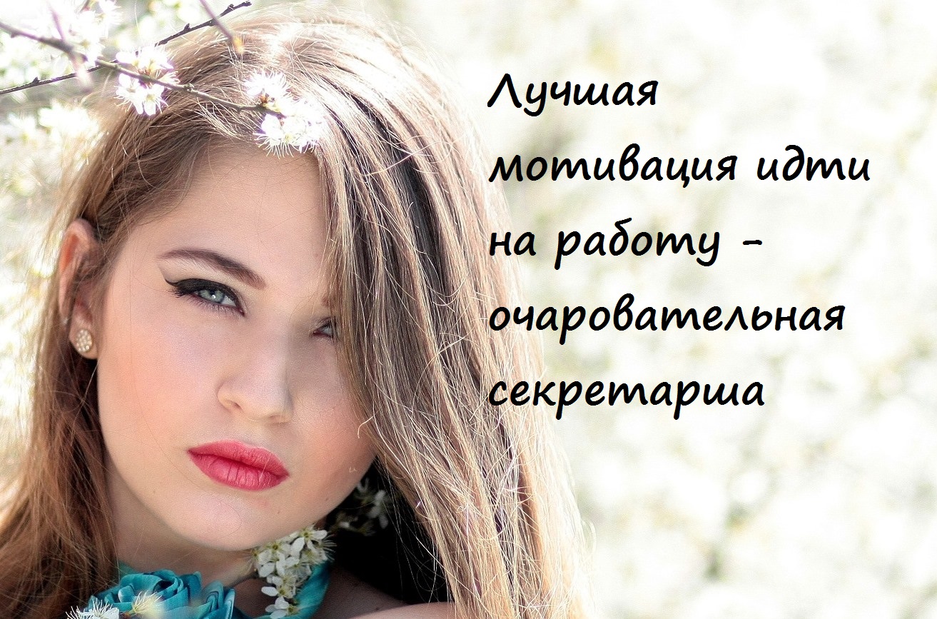 секретарь, всемирный день секретаря, день секретаря в россии в 2016 году, анекдоты о секретарях, главное правило делопроизводства