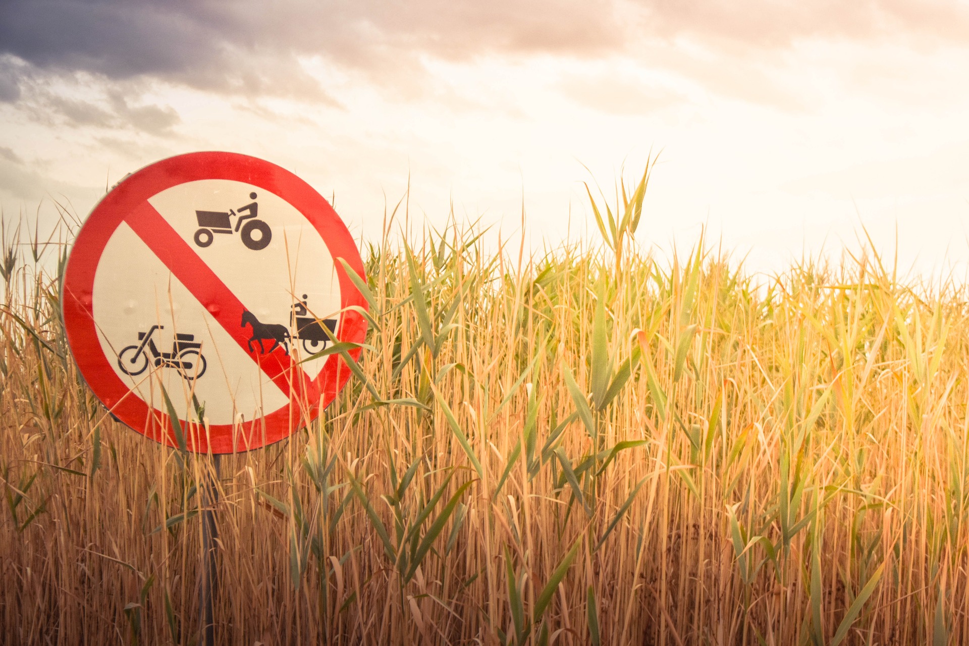 поле, запрещающий знак, 7 смертных грехов эйчара, Александр Шорин, руководитель отдела персонала DDoS-GUARD, мужчины в HR, плохой HR, Гордыня, Чувство собственной важности, Алчность и Зависть, нам не доплачивают, большие зарплаты, работа для удовольствия,