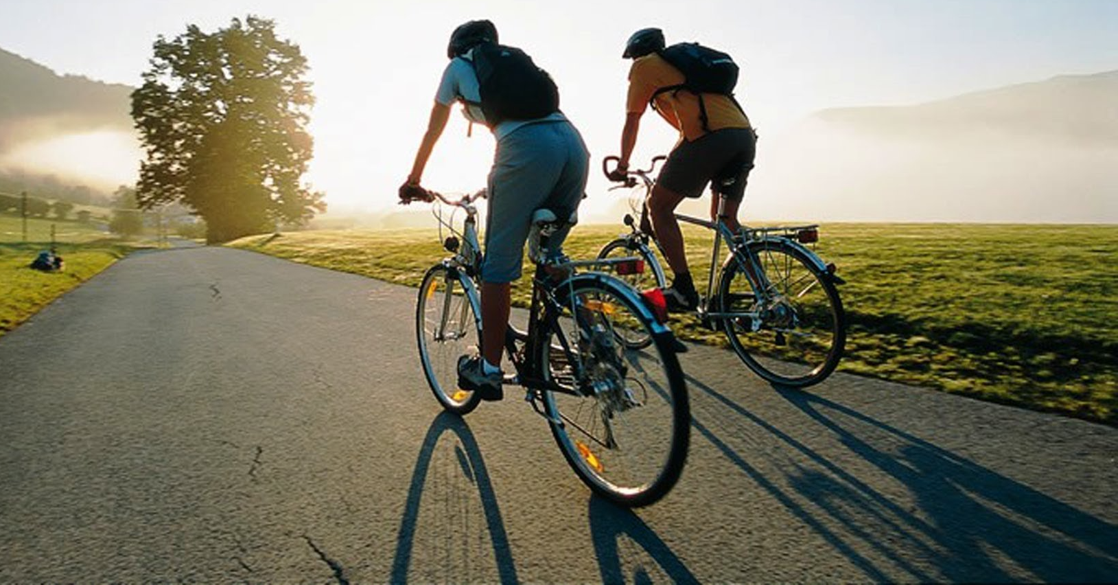 Почему online-спорт интересен для HR-директоров, среднего и крупного бизнеса, AlivеBe, Анатолий Костров, Корпоративный спорт, wellbeing-комплекс, wellbeing, развитие корпоративного спорта, повышение лояльности сотрудников, конкурентоспособность компании на рынке труда, конкурентоспособность компании, корпспорт в формате онлайн, корпспорт