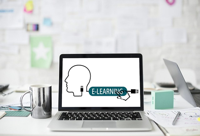 Вредные советы для корпоративного e-learning, Алексей Корольков, WebSoft, корпоративное бизнес обучение, корпоративное обучение кадров, корпоративные стратегии обучения, цель корпоративного обучения, корпоративное обучение персонала организации